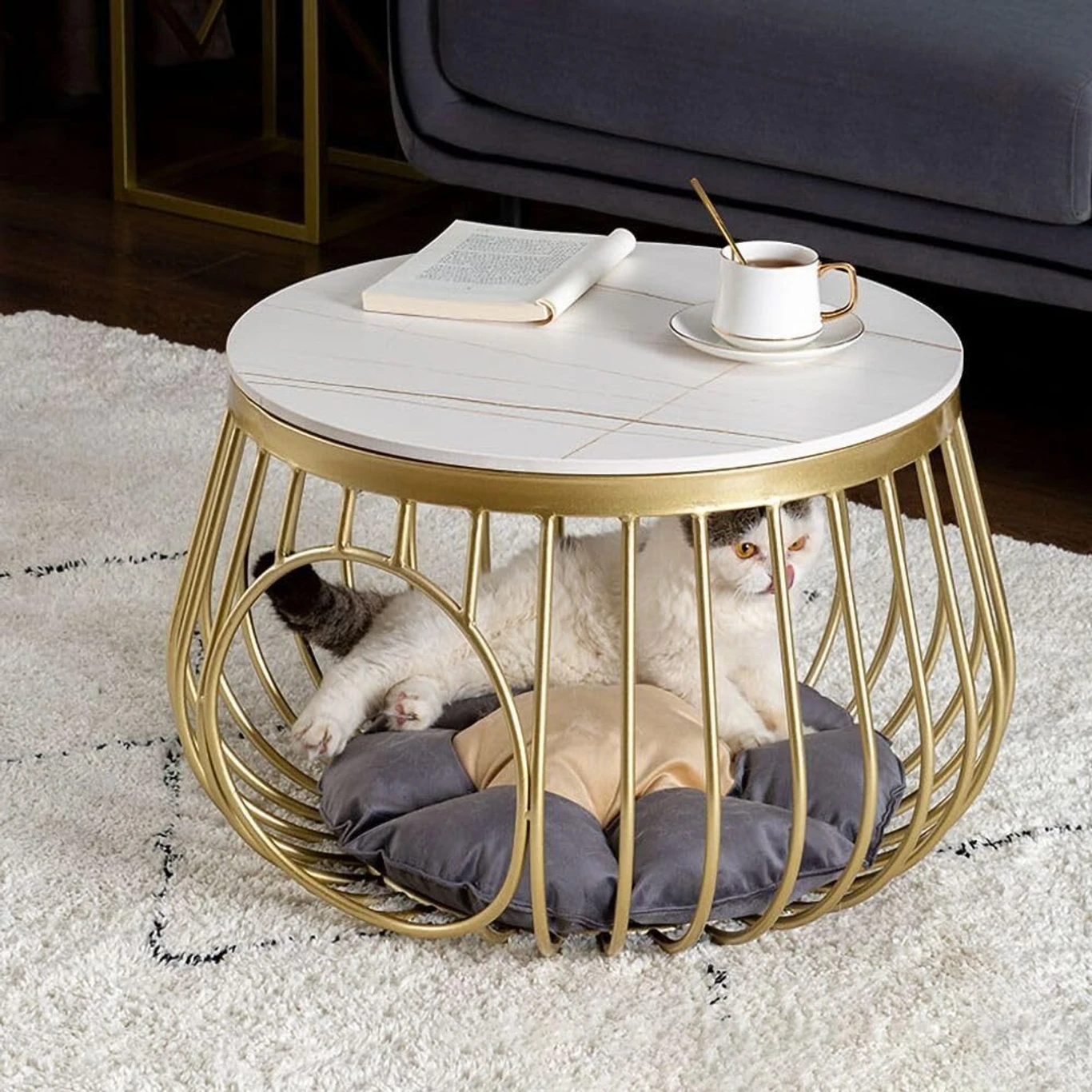 Golden Coffee Table Nesting Table Set of Two Center Table Metal Coffee Table (Finish Color - WHITE, Pre-assembled) - Image 5